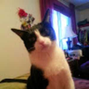 Meet your Posher, Cathy